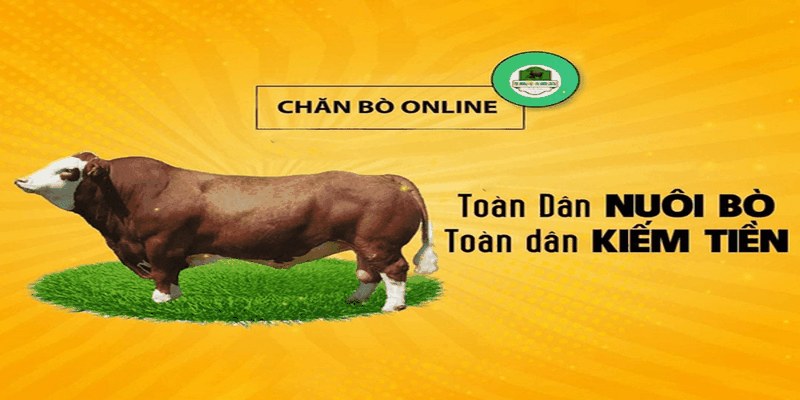 Chăn bò online